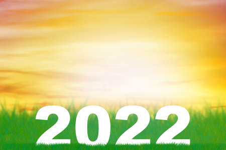 Happy new year 2022 on grass and sky background