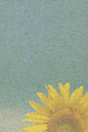 Water color like sunflower on old paper texture background の写真素材