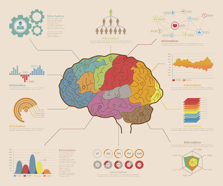 Infographic Elements , Brain concept , eps10 vector formatのイラスト素材