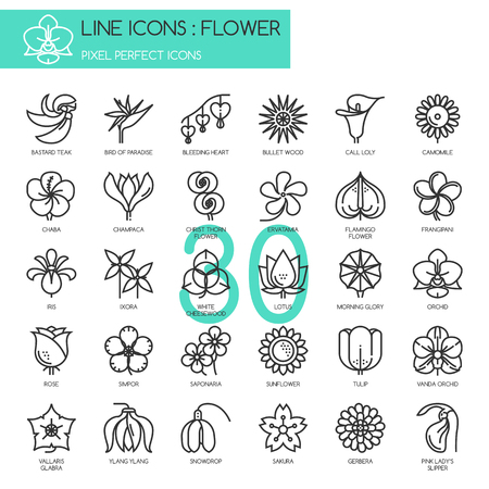 Flower, thin line icons set , Pixel perfect iconsのイラスト素材