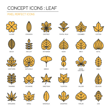 Leaf , thin line icons set ,pixel perfect iconのイラスト素材