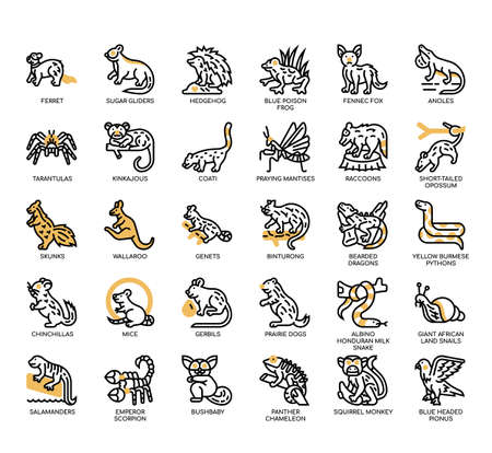 Set of Exotic pets thin line icons for any web and app project.の写真素材