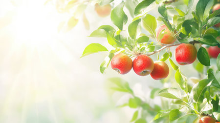 Natural apple tree detail with ripe red apples, green leaves, and isolated white space for versatile visual useの素材
