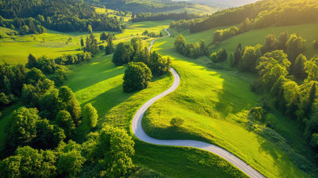 Country road winding through green trees, glowing under a low sun with rich shadows and golden highlightsの素材