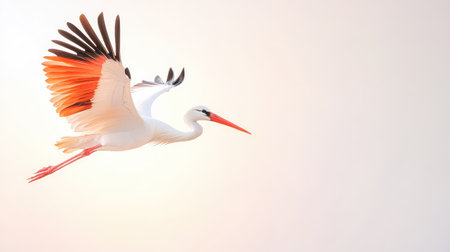 Majestic stork captured as it launches into flight, every feather rendered with lifelike clarity on a clean white spaceの素材
