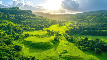 Half-barren field transforming into lush greenery, showing the power of recovery and sustainabilityの素材