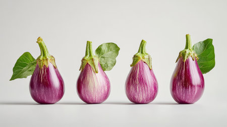 Clean white studio setting with four fresh eggplants, ideal for recipe ingredients or market visualsの素材