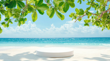 Minimal white circle podium on beach sand, overhead branch and sky background evoke tropical simplicityの素材