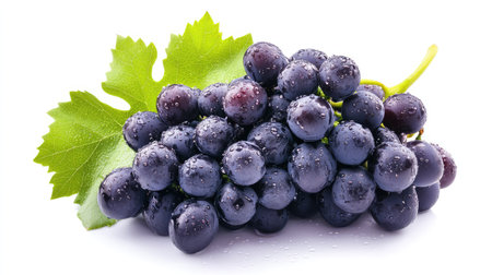 A fresh bunch of dark purple grapes with tiny water droplets and bright green leaves on the stem, isolated on a clean white backgroundの素材