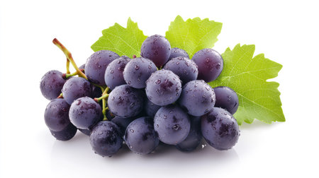 A fresh bunch of dark purple grapes with tiny water droplets and bright green leaves on the stem, isolated on a clean white backgroundの素材