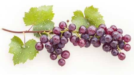 Fresh juicy dark purple grapes with sparkling water droplets and attached green leaves, isolated on a white background for a natural lookの素材
