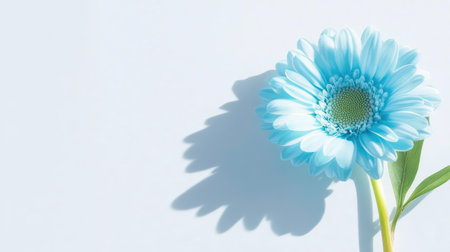 A beautiful soft blue flower casts a gentle shadow on a light background, evoking feelings of tranquility and freshness. Ideal for nature themes.の素材