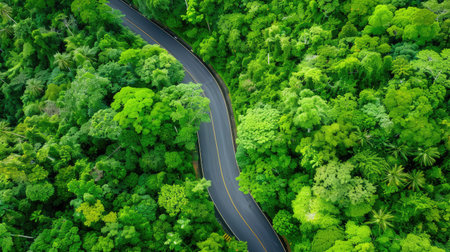 A captivating aerial view of a winding road traversing through a lush green forest, showcasing the beauty of nature. This scenic landscape invites travelers to explore the peaceful surroundings.の素材