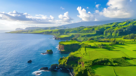 Experience a stunning aerial view showcasing vibrant green cliffs meeting a clear blue ocean. This picturesque landscape captures the beauty of nature with serenity and tranquility, perfect for travel enthusiasts and nature lovers.の素材