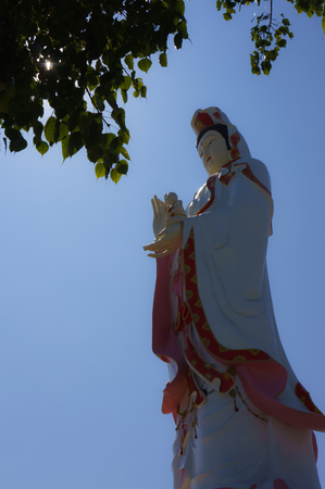 The Goddess of Compassion and Mercy in Thailand.の写真素材