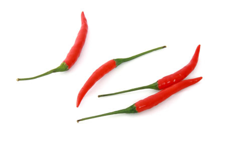 Red Chili is an Ingredient of Spicy.の写真素材