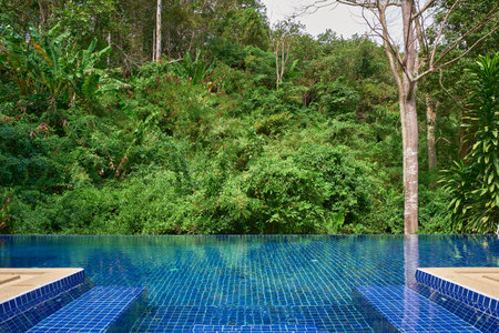 swimming pool with forest in daytime