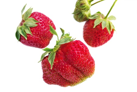 Red and green strawberries isolated on the white background.の写真素材