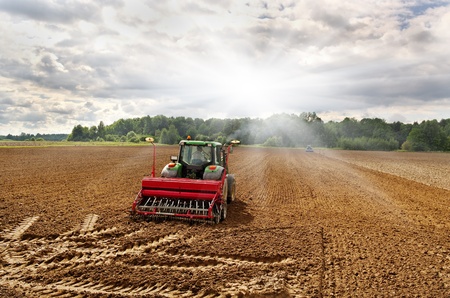 Two tractors on the field in a sunny day.