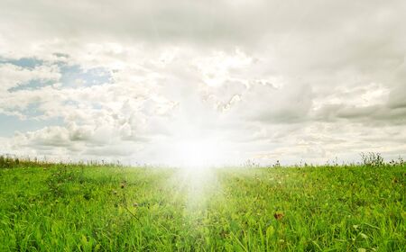 Sun above field with lush grass.