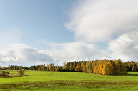 Morning above field in an autumn.の写真素材