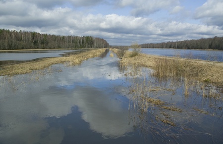 Flood on a field.の写真素材