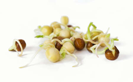 Peas.の写真素材