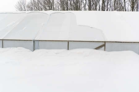 Greenhouse.の写真素材