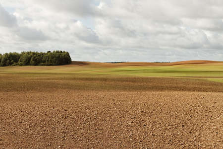 Country landscape with cultivated hill 