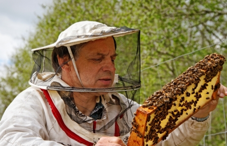 Working apiarist in a spring season の写真素材