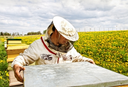 Working apiarist in a spring season の写真素材