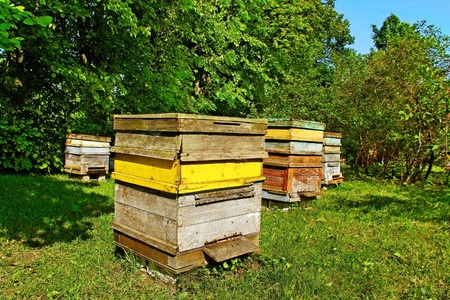 Old good beehives in yard 