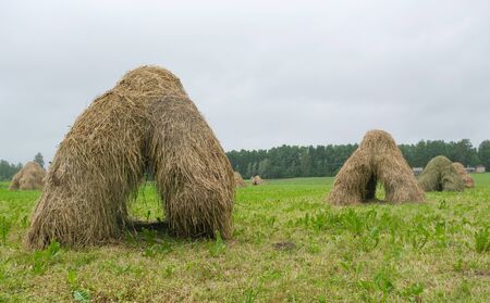 Hay piles with holes 