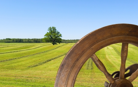	Haying and retro wheel の写真素材