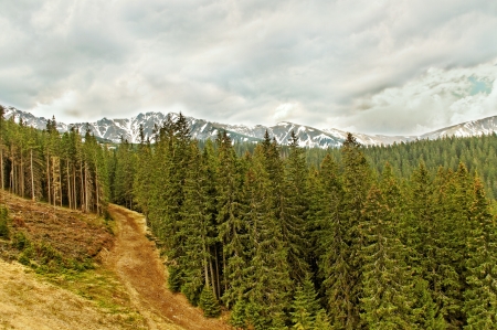 View from the lift in the Tatry mountain の写真素材