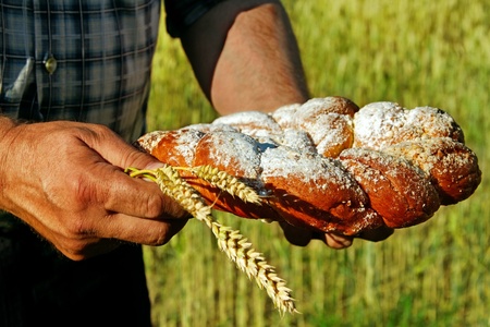 Farmer on the field with sweet bread and spike of wheat の写真素材