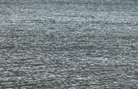 Wave on the water surface 