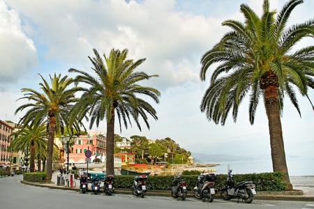 View to the town and sea, Portofino, Italy の写真素材
