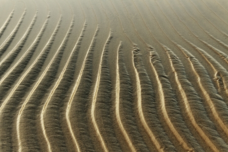 Wet sand surface at the sea の写真素材