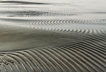 Wet sand surface at the sea の写真素材
