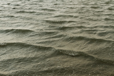 Salt water surface of the Moinaki liman.