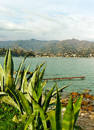 At the Mediterranean sea in Monterosso.の写真素材