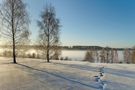 Winter landscape in a morning at the river.の写真素材