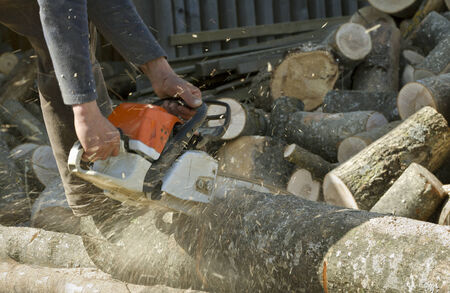 Man cuts a fallen tree, dangerous work. 