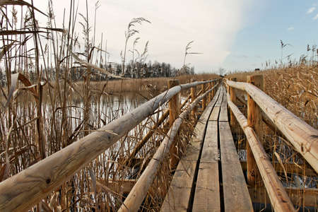 Flowing path on lake surface.の写真素材