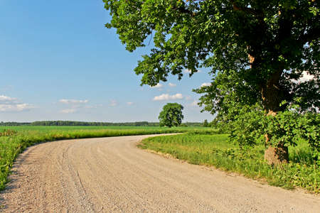 Turn of country road with oak tree.の写真素材