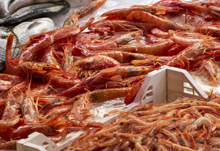 Group of raw shrimps on a table, market in Catania, Italy.の写真素材