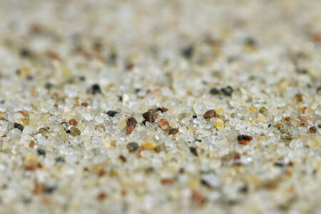 Hot sand at the sea.の写真素材