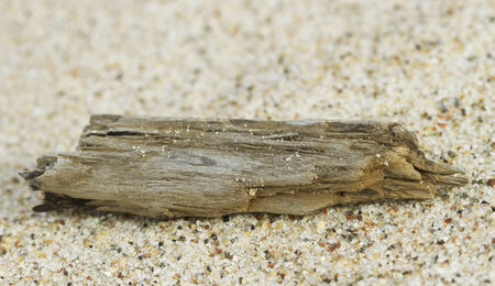 Hot sand at the sea.の写真素材