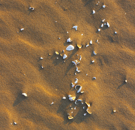 One beautiful day at the sea.の写真素材